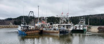 All tied up? The lobsters must not be hitting hard if the boats are at the wharf with prices high in early season.